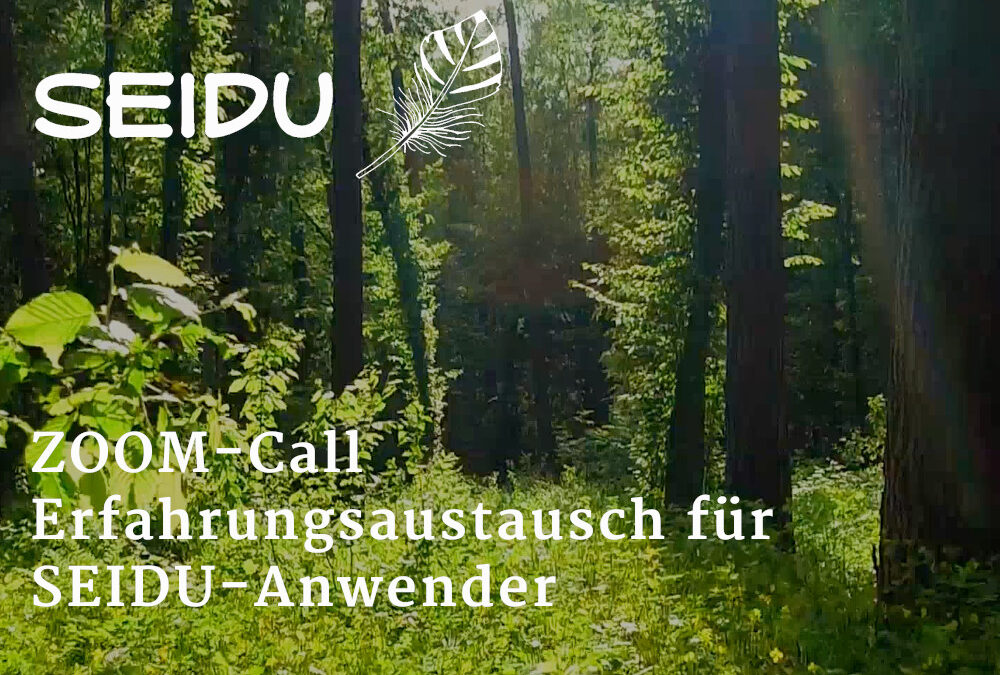 Zoomcall SEIDU – Erfahrungsaustausch